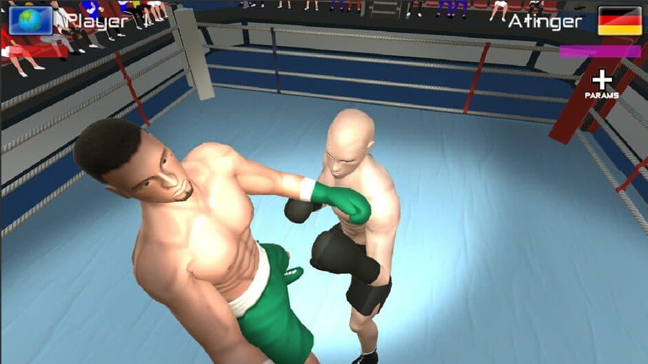 International Boxing screenshot 3