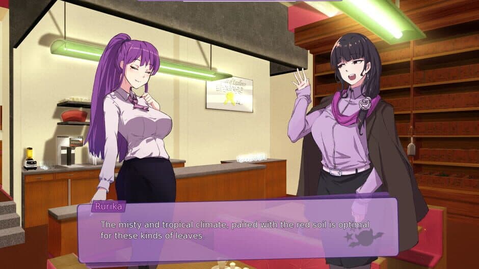 Kuroi Tsubasa screenshot 6