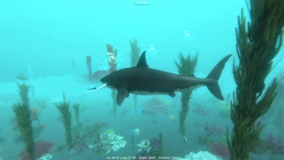Alpha Shark screenshot 3