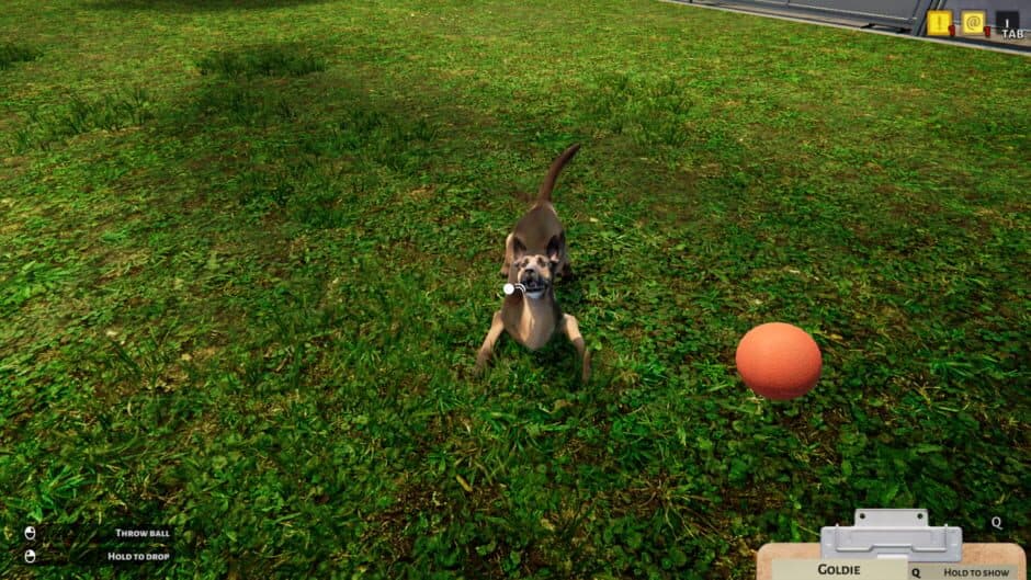 Animal Shelter Simulator screenshot 1