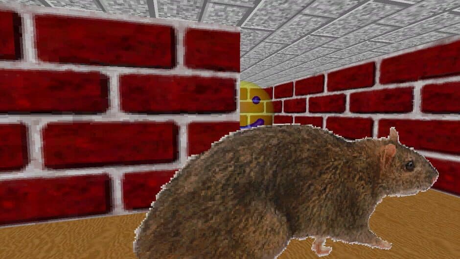 Screensaver Subterfuge screenshot 2