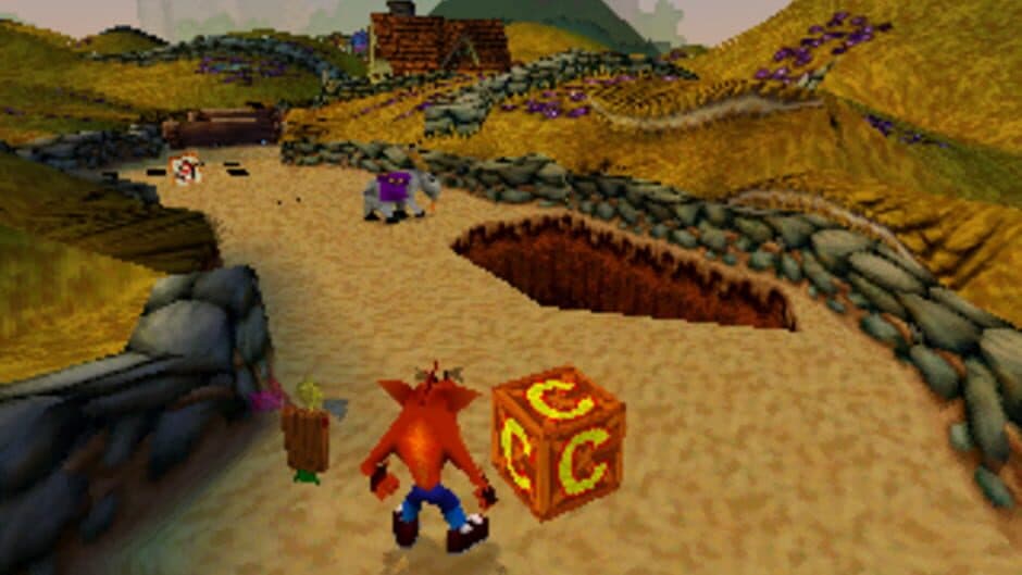 Crash Bandicoot: Warped screenshot 2