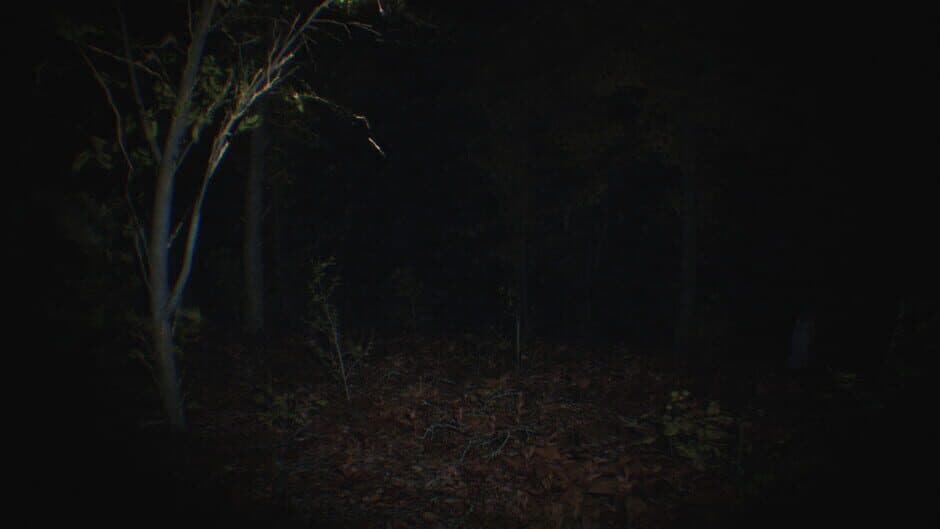 Paranormal Tales screenshot 4