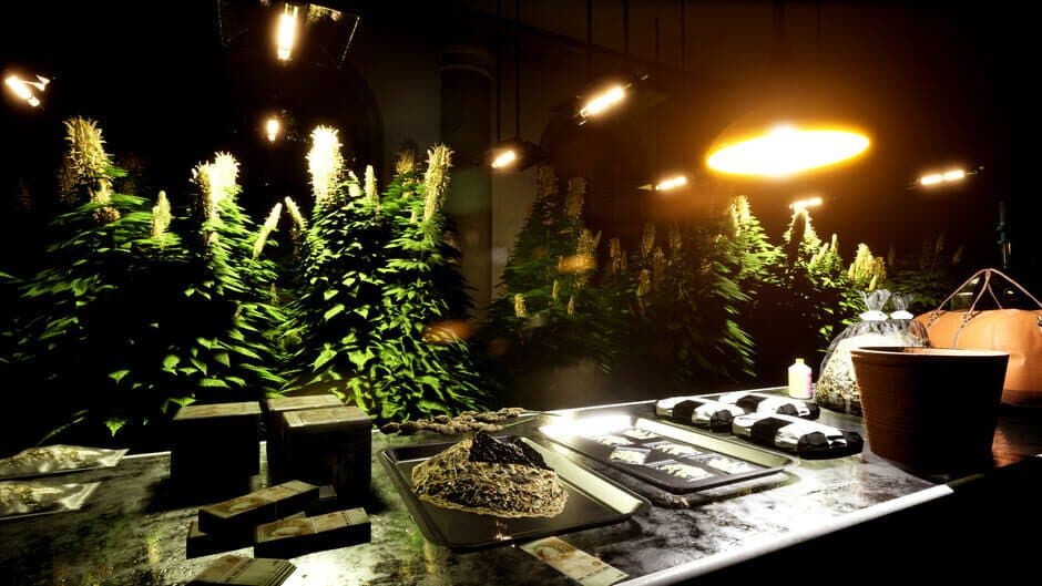 Drug Dealer Simulator 2 screenshot 3