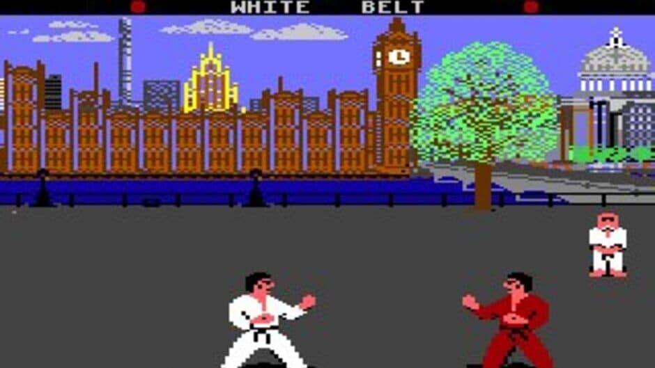 World Karate Championship screenshot 3