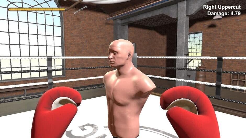 Boxer screenshot 1