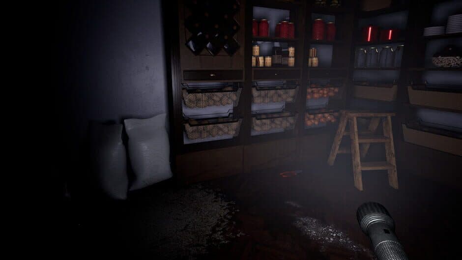 Leak screenshot 5