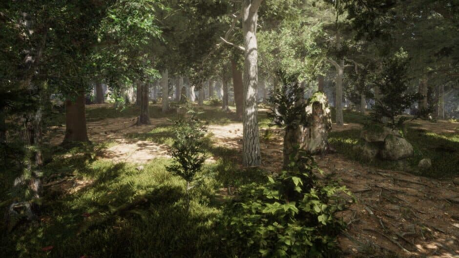 The Quinfall screenshot 5