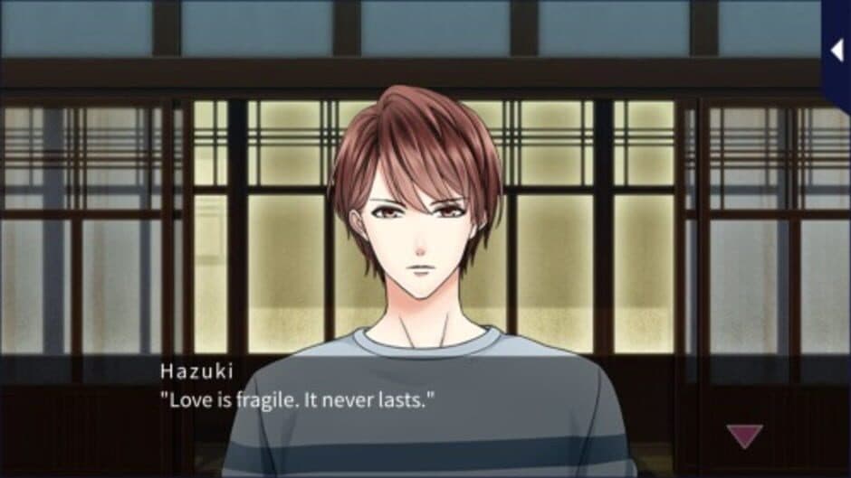 Love Brings You Home screenshot 2