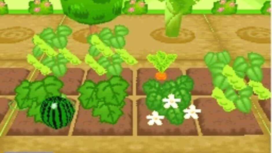 Mamegoma 3: Kawaii ga Ippai! screenshot 2