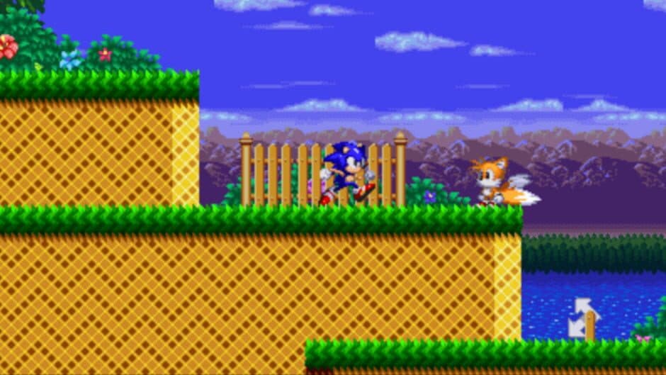 Sonic: Project Survival screenshot 1
