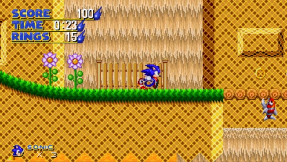 Sonic: Project Survival screenshot 4