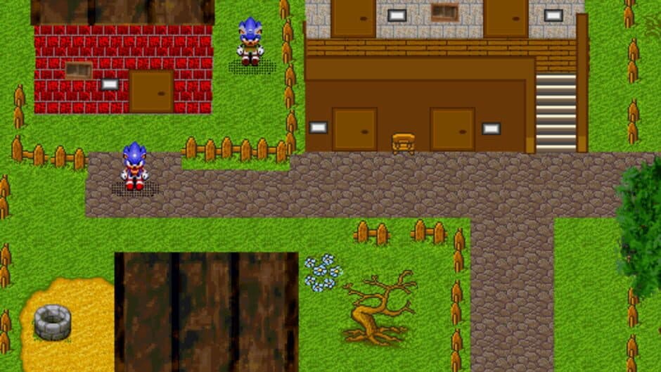 ShenSonic screenshot 2