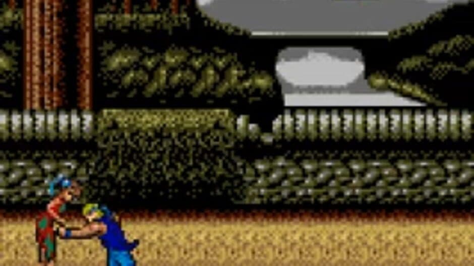 Double Dragon screenshot 3
