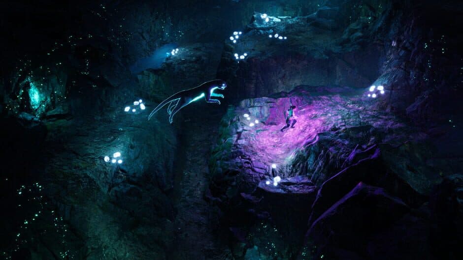 Coridden screenshot 4