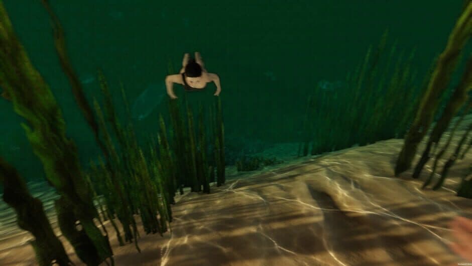 Island Notes screenshot 7