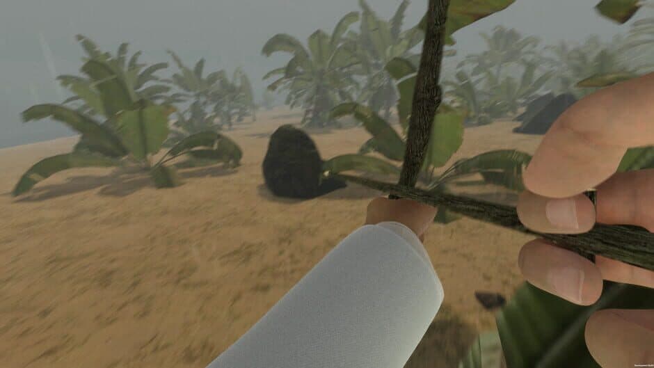 Island Notes screenshot 8
