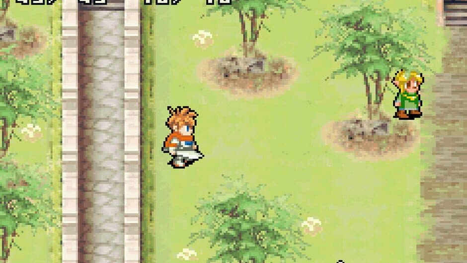 Shining Soul II screenshot 2