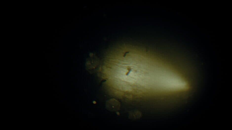 Rec: Beyond The Lens screenshot 8