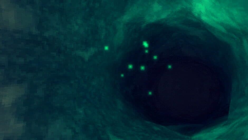 Sprucerio screenshot 5
