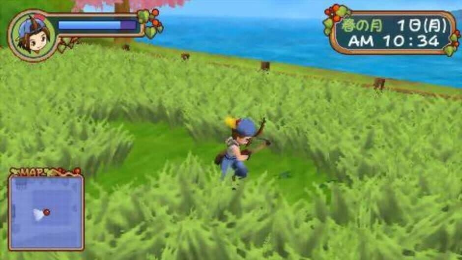 Harvest Moon: Hero of Leaf Valley screenshot 8