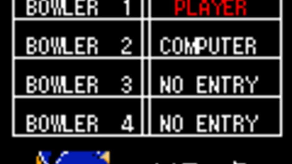 Sonic Bowling screenshot 2
