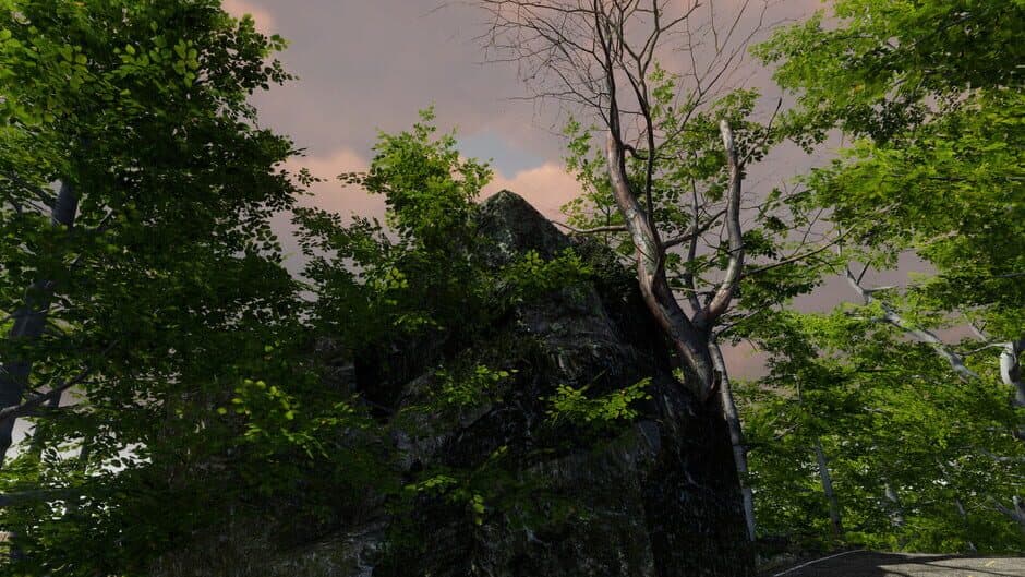 Nights To Remember screenshot 1