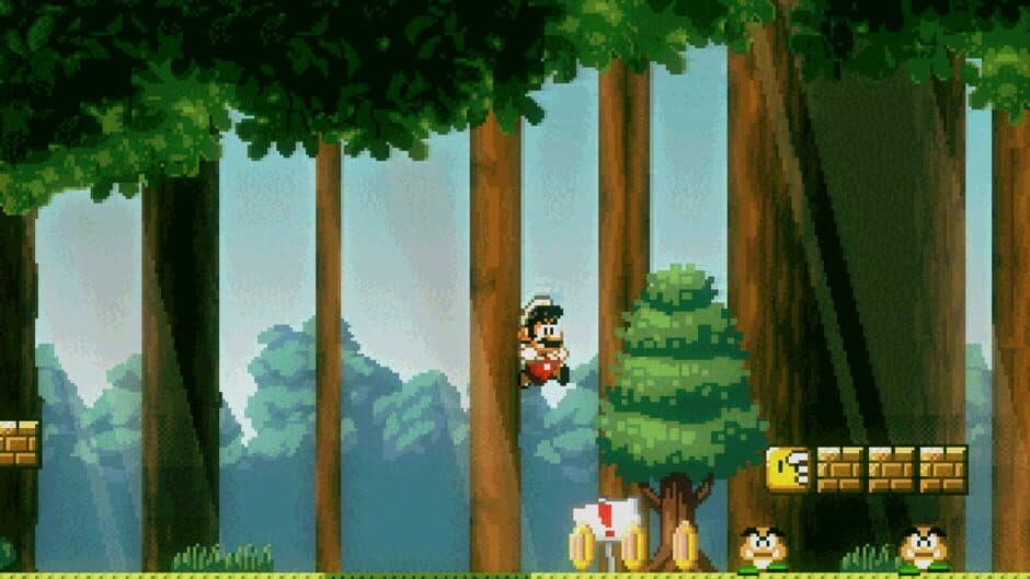 Super Mario Bros. Friends screenshot 6