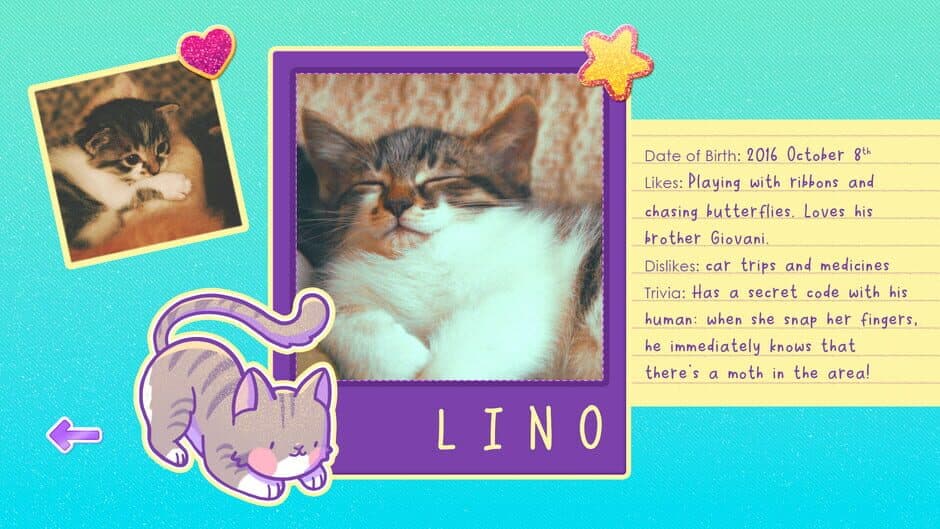 Sticker Kittens screenshot 2