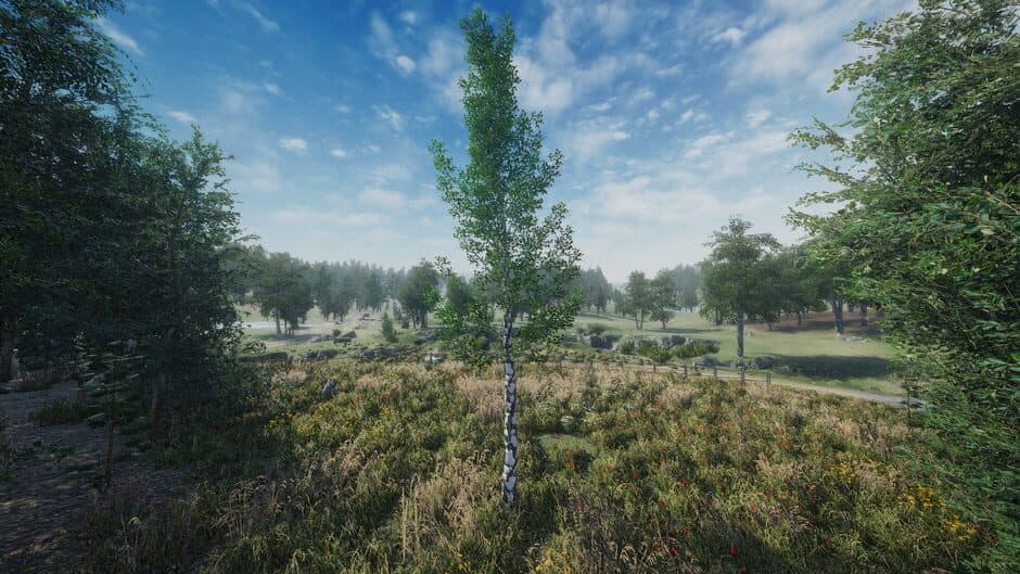 Birch Simulator screenshot 3