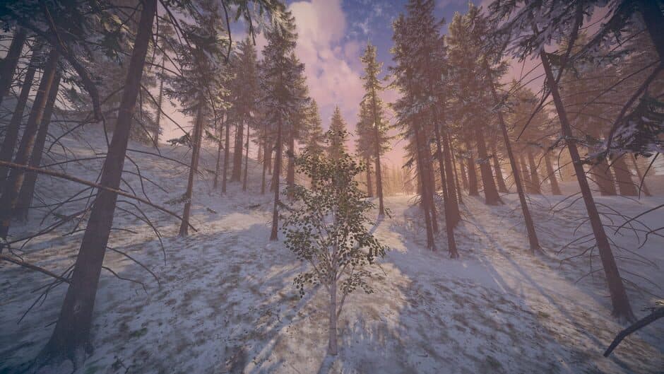 Birch Simulator screenshot 5