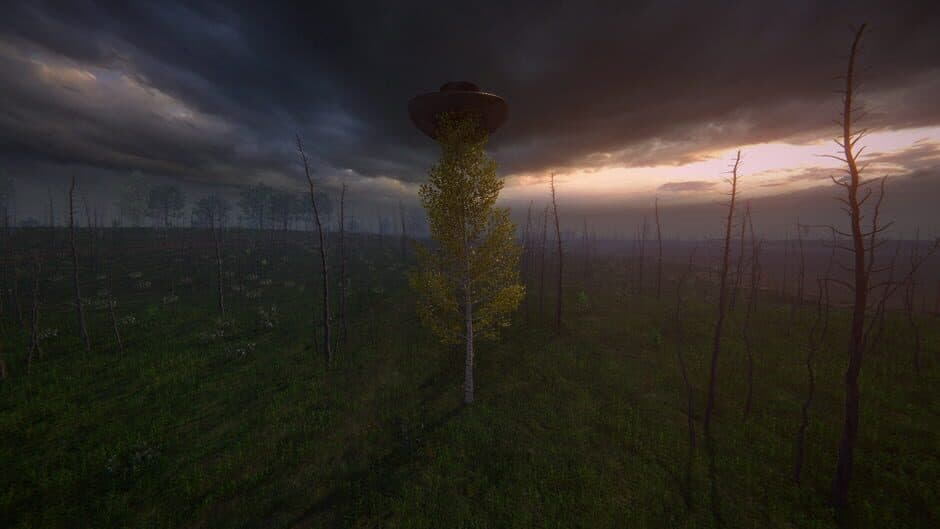 Birch Simulator screenshot 8