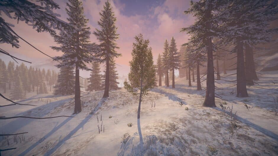Birch Simulator screenshot 9