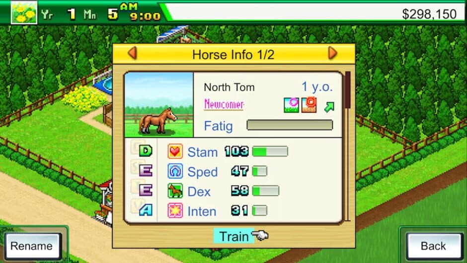 Pocket Stables screenshot 7