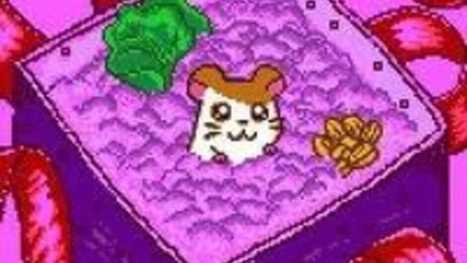 Tottoko Hamtaro: Tomodachi Daisakusen Dechu screenshot 5