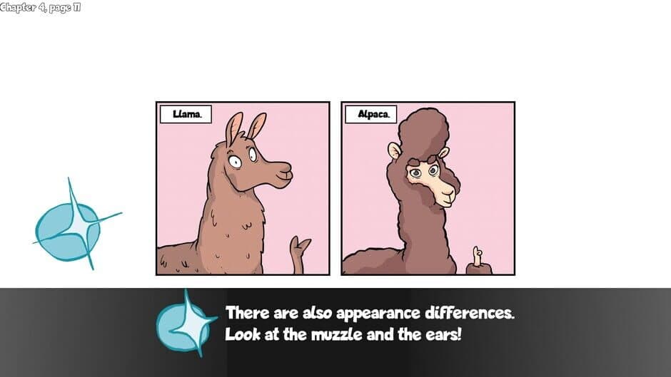 Alpaca Wonders Why screenshot 6
