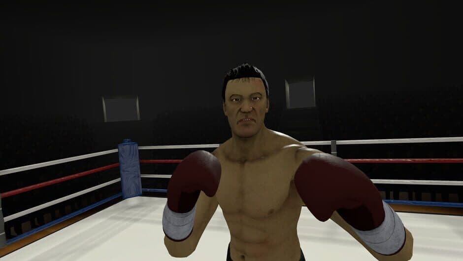 The Thrill of the Fight screenshot 5