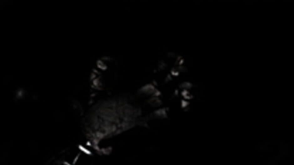 Five Nights at Fredbear's screenshot 5
