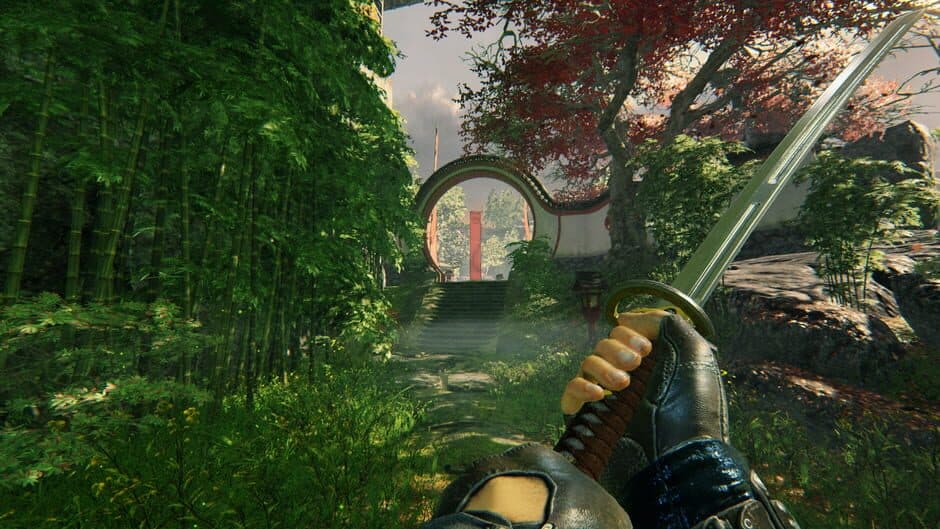 Shadow Warrior screenshot 5