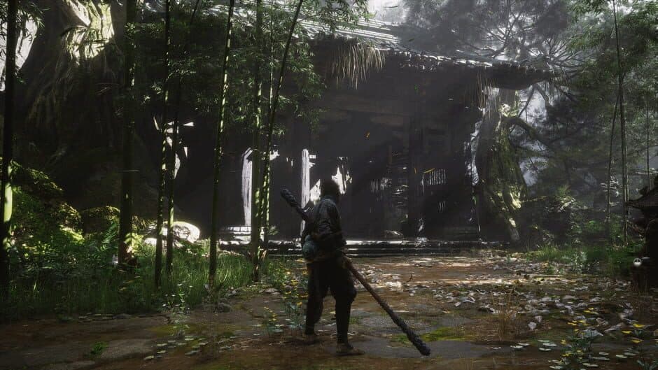 Black Myth: Wukong screenshot 5