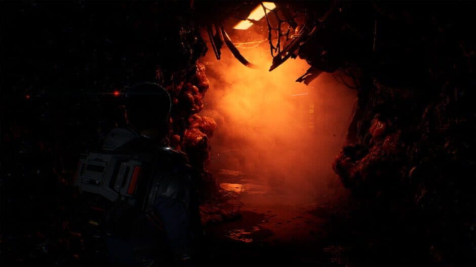 Directive 8020 screenshot 9