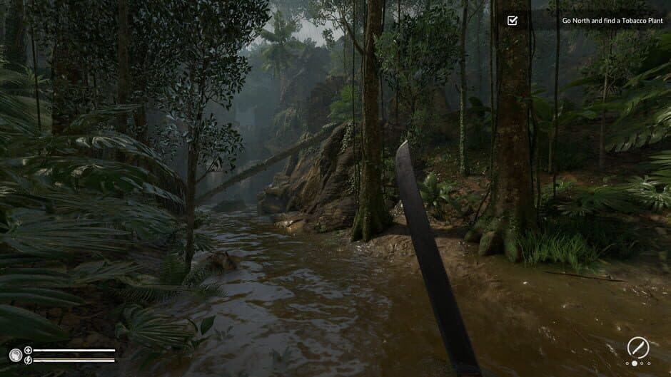 Green Hell screenshot 7