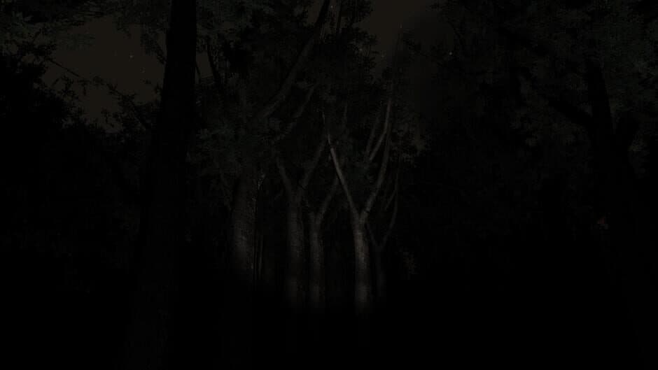 Slender: The Eight Pages screenshot 7