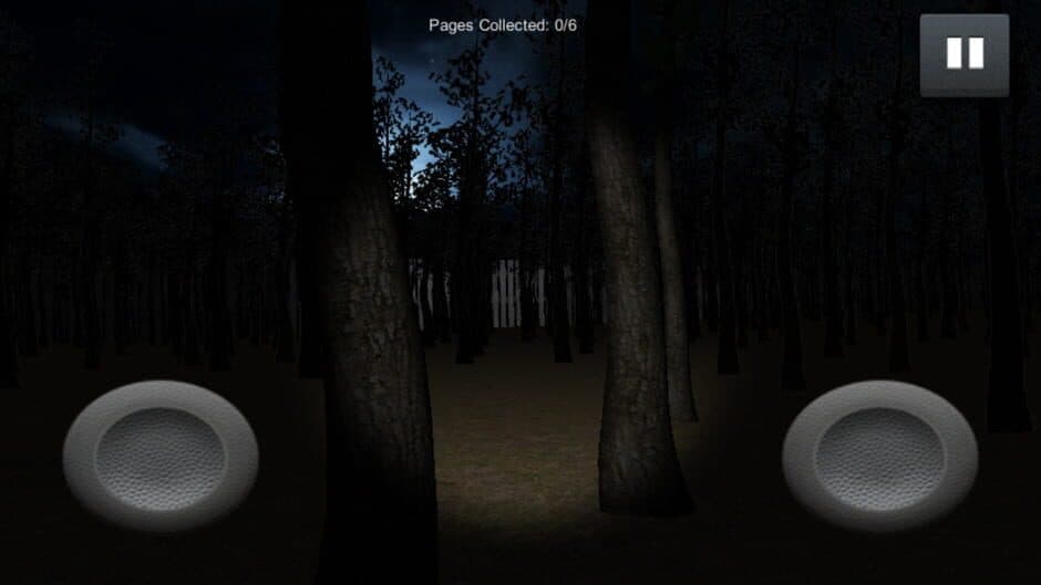 SlenderMan's Forest screenshot 9