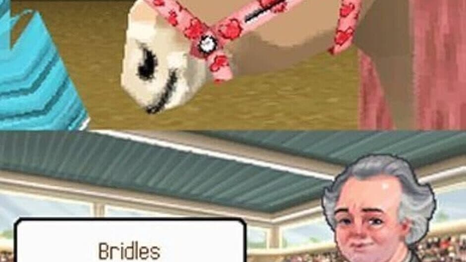 Petz Pony Beauty Pageant screenshot 1
