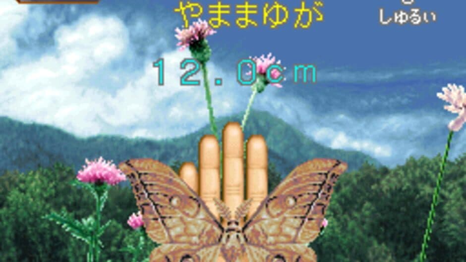 Mushi Taro screenshot 2