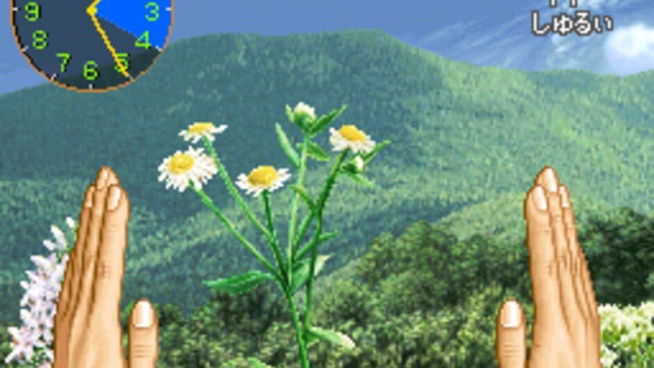 Mushi Taro screenshot 5