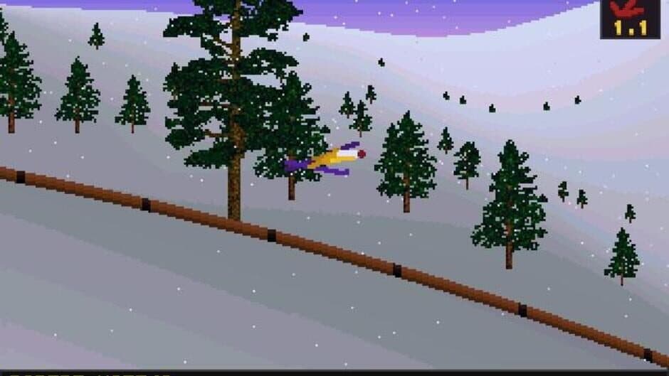 Deluxe Ski Jump 2 screenshot 2