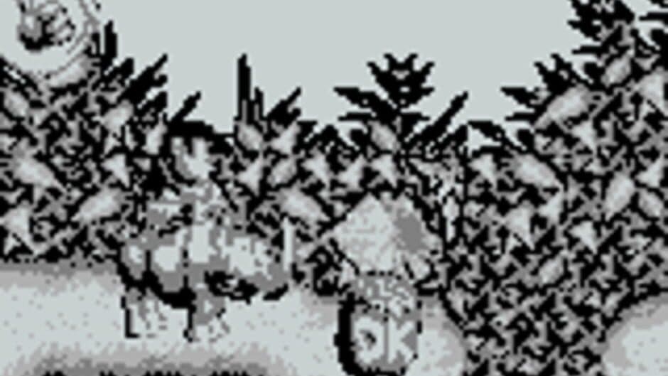 Donkey Kong Land screenshot 5