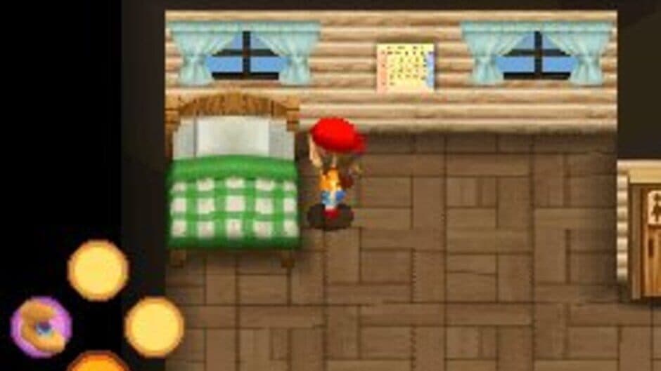 Harvest Moon DS: Sunshine Islands screenshot 9